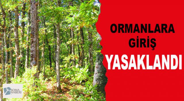 Ormanlara Girmek Yasaklandı