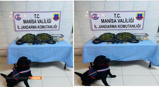 Selendi'de Uyuşturucu Operasyonu