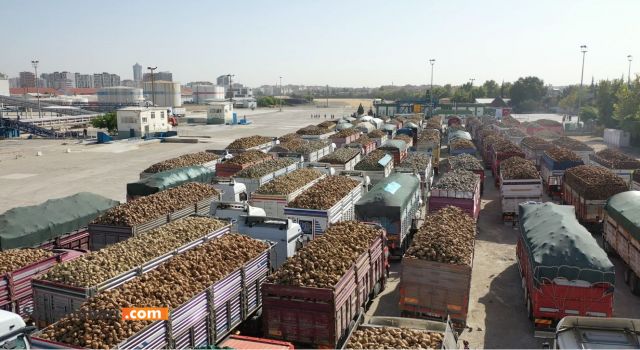 KONYA ŞEKER’DEN 149 MİLYON 808 BİN TL PANCAR SÖKÜM AVANSI