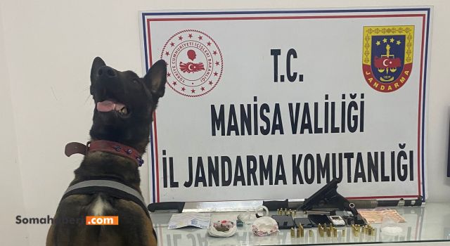 Uyuşturucu Aramalarında Uyuşturucu Köpeği 'de Katıldı