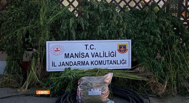 Ispanak mı Ekiyorsunuz Jandarma Yakalar