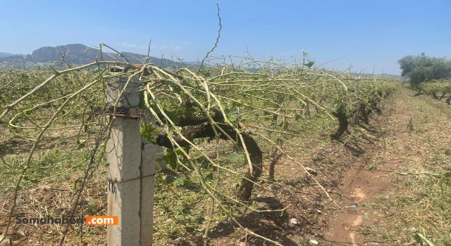 Salihli Doludan Öyle Zarar Gördü ki