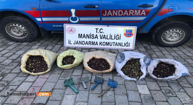 6’sı erkek 24’ü kadın olmak üzere toplam 30 şüpheli, Jandarma Devriyeleri tarafından suç üstü yakalandı