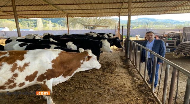 SÜT VE SÜT ÜRÜNLERİNE YENİ ZAMLAR KAPIDA