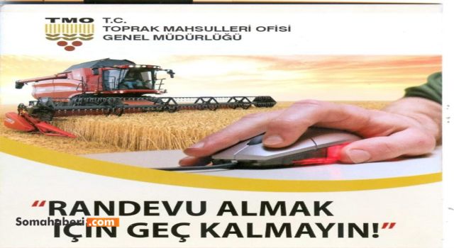 TMO BUĞDAY ALIMLARINA BAŞLADI