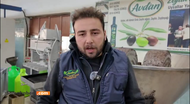 Soma Avdan mahallesi’nde dededen toruna damak tadının unutulmaması: Uysallar yağ fabrikası’nda kavruk zeytinyağı üretimi