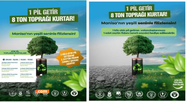 Manisa’da atık pil getirene zeytin fidanı verilecek