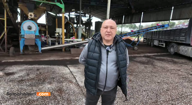 Zeytin Yağ Fiyatı Düşüşte. Fiyatlar 180 Liraya Kadar Geriledi. Geçtiğimiz Senenin Yağı Alımı Yapılmıyor