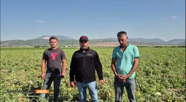 Kınık’ta çiftçinin feryadı: “Çalışarak, üreterek batıyoruz”