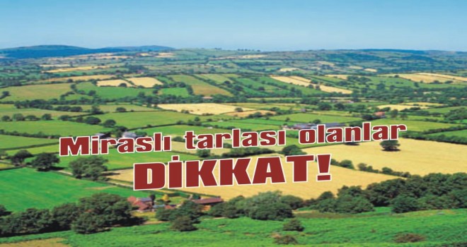 Miras tarlası olanlar dikkat