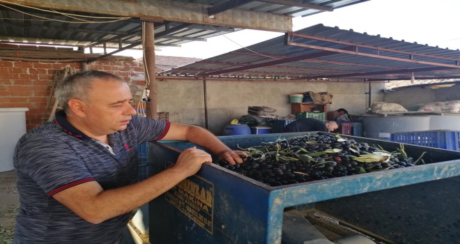 Borçlar Yüzünden Tarım Alanlarının En Fazla Oranda İpotekli