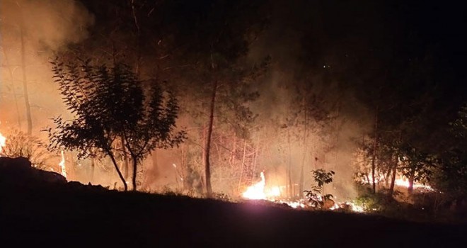 Soma'daki Orman Yangını Korkuttu