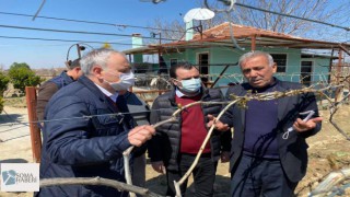 Üzüm Üreticisi Zor Durumda