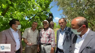 Kiraz Üreticisi İsyan Etti