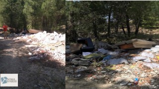 ORMANLARIMIZ ÇÖPLÜK DEĞİL