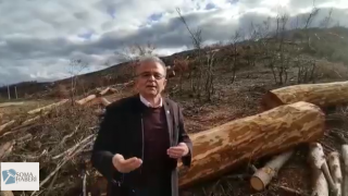 SATIŞI YAPILAN AĞAÇLARIN GELİRLERİ YANGIN MAĞDURLARINA HARCANSIN