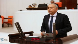 Adalet ve Kalkınma Partisi politikaları ülkeyi hızla ormansızlaştırmaktadır.