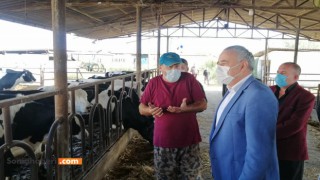 Hayvanlarla İlgili İddialar Doğrumu