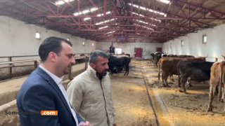 Hiç Destek Vermeseler Daha İyi