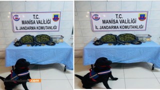 Selendi'de Uyuşturucu Operasyonu