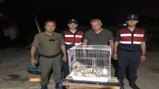 Paçalı Baykuş Koruma Altına Alındı