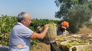 Kuru Üzüm Fiyatında Hayal Kırıklığı