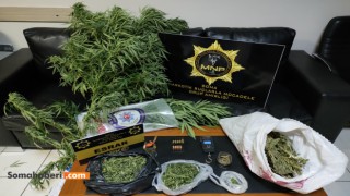 Soma'da uyuşturucu operasyonu.