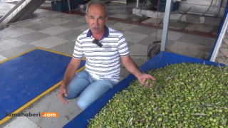 Kaliteli Zeytinyağı Bizde