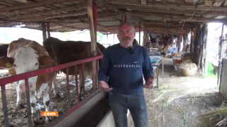 Ben Tarımı Hayvancılığı Çocuklarıma bile tavsiye Etmem