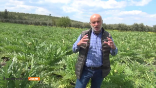 Çiftçi Ne Ekeceğim Arayışı İçerisinde.