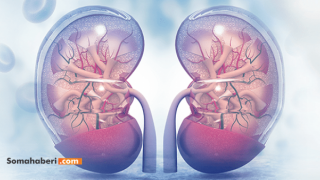 Yokluk İnsanların Organlarını Satmaya Mecbur Bırakıyor