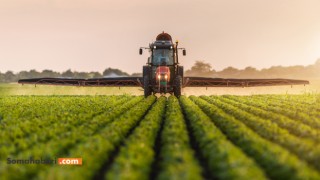 Bu zamlar üretimi bitirir