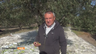 Bu Sene Vatandaş Yağ Yiyemez