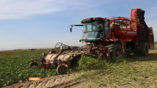 Türkiye’nin Gıda Devi Konya Şeker, Üretici Ortaklarına Avans Ödemesi Yapacak