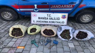 6’sı erkek 24’ü kadın olmak üzere toplam 30 şüpheli, Jandarma Devriyeleri tarafından suç üstü yakalandı