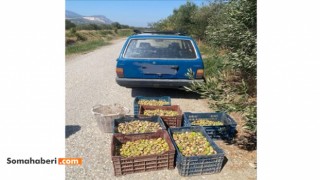 Jandarmadan Bağ ve Bahçe Hırsızlarına Karşı Suçüstü Operasyonu