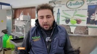 Soma Avdan mahallesi’nde dededen toruna damak tadının unutulmaması: Uysallar yağ fabrikası’nda kavruk zeytinyağı üretimi