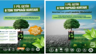 Manisa’da atık pil getirene zeytin fidanı verilecek