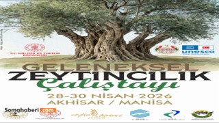 Geleneksel zeytin yetiştiriciliği çalıştayı Akhisar’da başlıyor