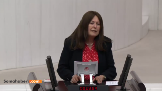 İyi partili Sunat: "hayvancılıkta politika iflas etti, Et lüks süt hayal oldu"