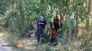Traktör Ağaçlara Çarptı: Sürücü Hayatını Kaybetti, Eşi Yaralandı