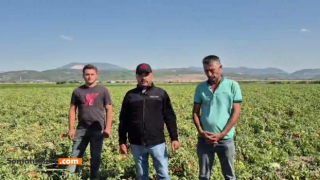 Kınık’ta çiftçinin feryadı: “Çalışarak, üreterek batıyoruz”