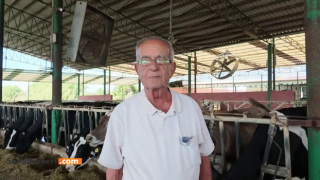 Süt üreticisi alarm veriyor: Başkaya, “1 litre sütle 1,5 kilo yem alınabilmeli