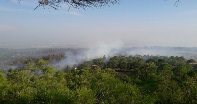 Komşu İlçede Orman Yangını