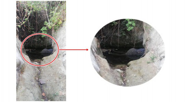 KUYUYA DÜŞEN VATANDAŞ HAYATINI KAYBETTİ