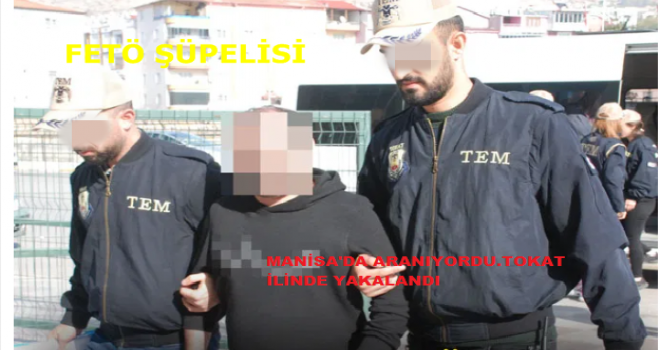 Manisa'da Aranıyordu. Tokat ilinde Yakalandı