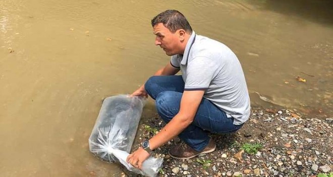 SOMA GÖLETLERİNE BİNLERCE BALIK…