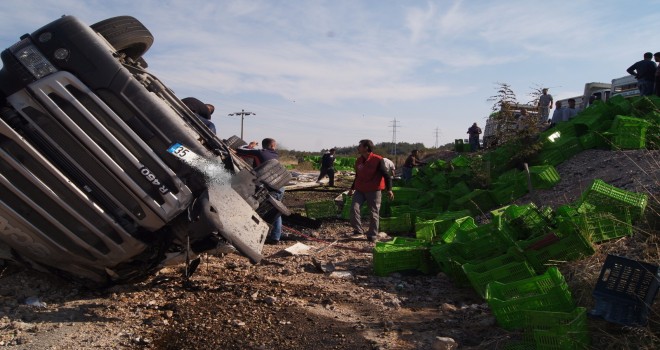 Zeytin Yüklü Tır Uçtu