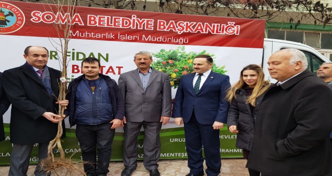 Soma Belediyesi Meyva Fidanı Dağıttı