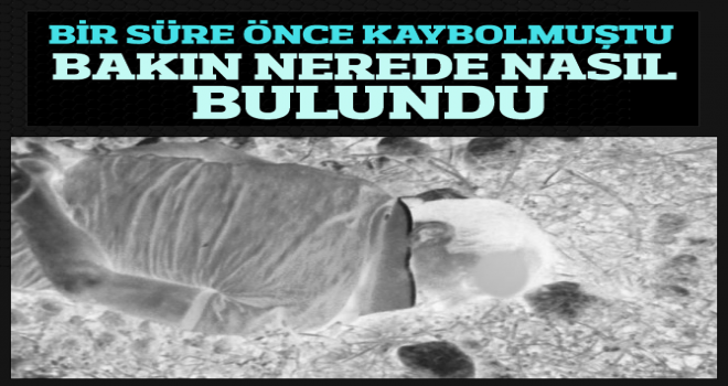 Kızını taciz ettiği iddiasıyla eşiyle birlikte öldürmüşler